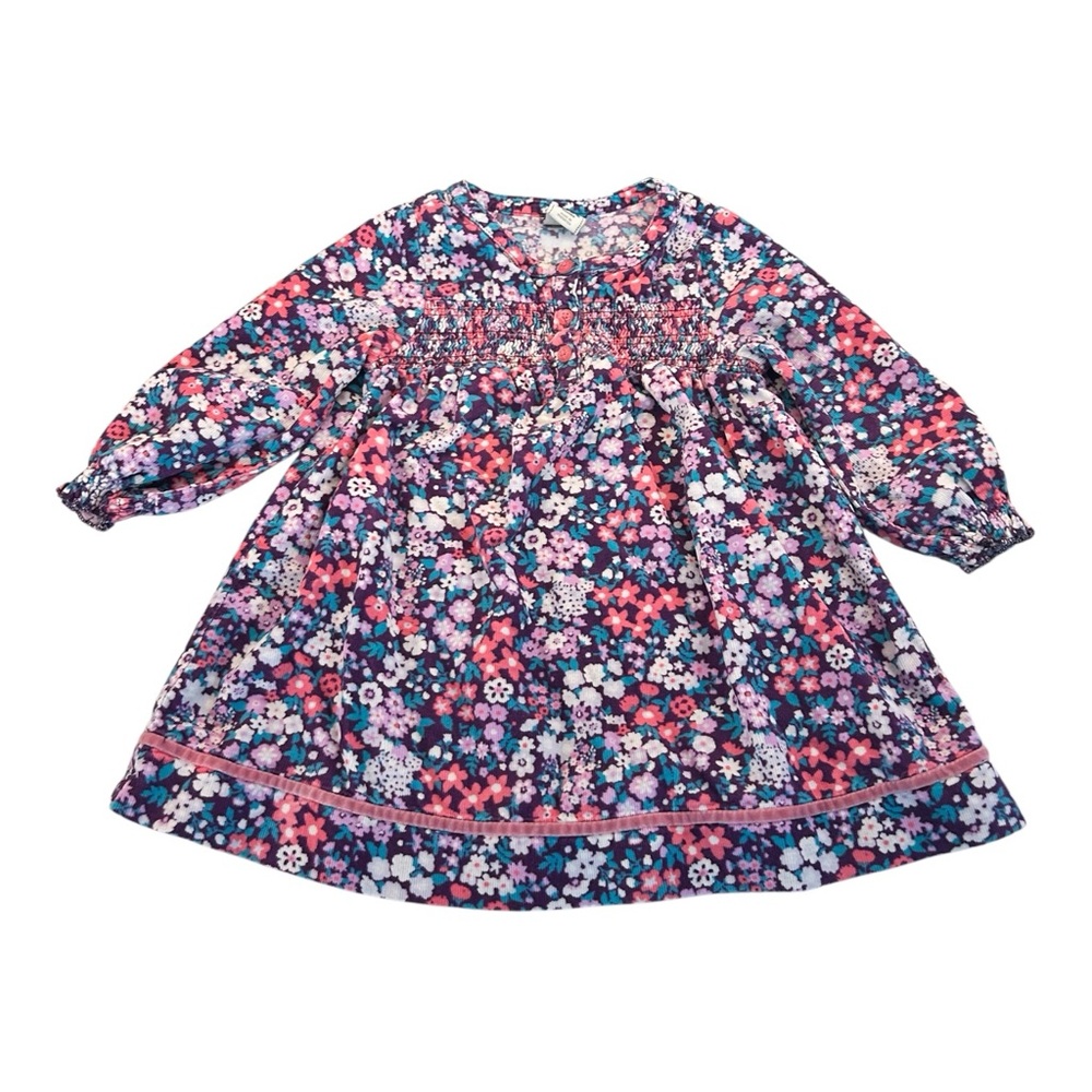 Old Navy 2011 Floral Corduroy Velvet Trim‎ Smocked Girls Dress